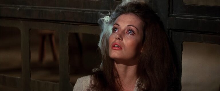 Westworld (1973) — ASFR reference image